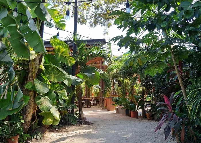 Zulu Surf Hotel