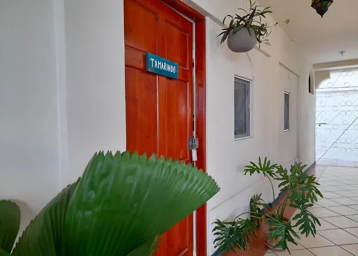 Hotel Zulu Surf 3*