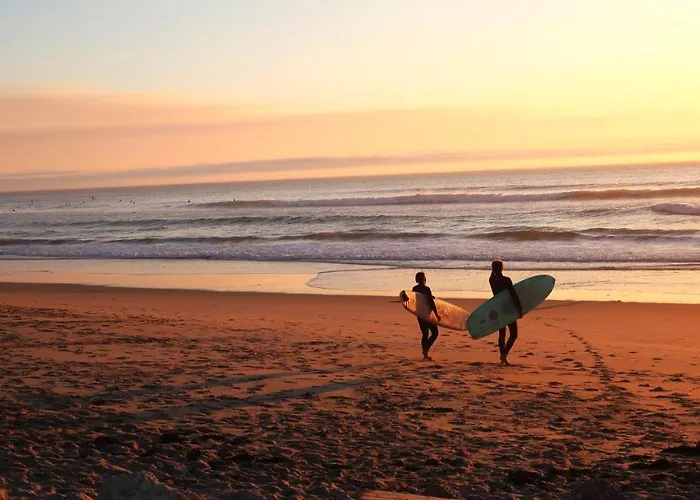 Zulu Surf